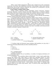 Administravimo principai 13 puslapis