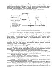 Administravimo principai 15 puslapis