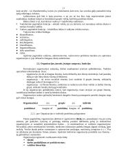 Administravimo principai 17 puslapis