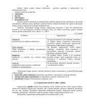 Administravimo principai 20 puslapis