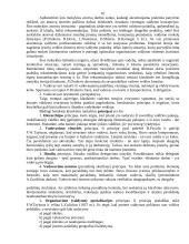 Administravimo principai 10 puslapis