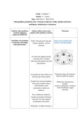 Vaikų gebėjimų pasiekimų sritys. Pamokos planas