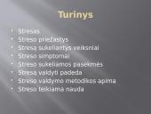Stresas ir streso įveikimas 2 puslapis