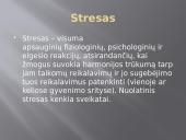 Stresas ir streso įveikimas 3 puslapis
