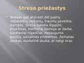 Stresas ir streso įveikimas 4 puslapis