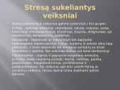 Stresas ir streso įveikimas 5 puslapis