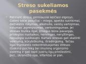 Stresas ir streso įveikimas 7 puslapis