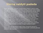 Stresas ir streso įveikimas 8 puslapis