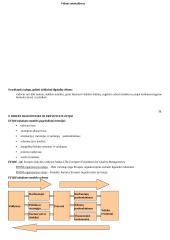 Krizių valdymas 12 puslapis