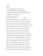 Nematerialaus turto apskaita