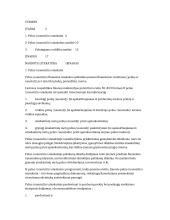 Pelno (nuostolio) ataskaitos nagrinėjimas