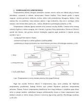 Temperamento tipai 4 puslapis