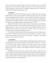 Temperamento tipai 6 puslapis