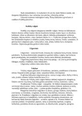 Žemaičių mityba 3 puslapis