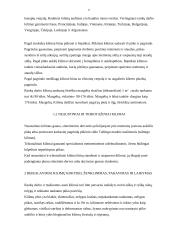 Kilimų savybės ir kokybė 6 puslapis