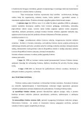 Lietuvos ir Švedijos švietimas 11 puslapis