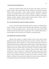 Lietuvos ir Švedijos švietimas 15 puslapis