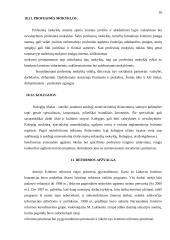 Lietuvos ir Švedijos švietimas 16 puslapis