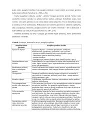 Socialinio pedagogo pagalba, sprendžiant tėvų ir vaikų konfliktus 10 puslapis