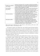 Socialinio pedagogo pagalba, sprendžiant tėvų ir vaikų konfliktus 11 puslapis