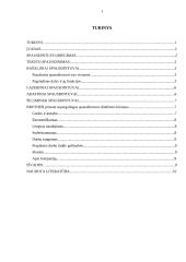 Spausdintuvų įvairovė