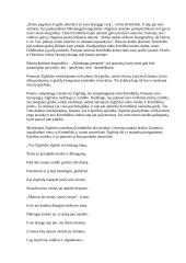 "Nibelungų giesmė" 3 puslapis