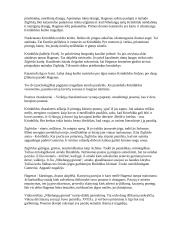 "Nibelungų giesmė" 5 puslapis