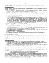 Arbitražas 8 puslapis