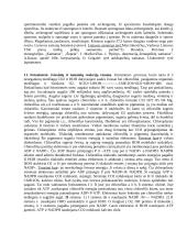 Biologijos pradmenys 11 puslapis