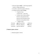 Edukologijos idėjų ištakų apžvelgimas 19 puslapis