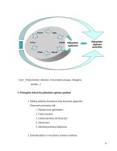 Edukologijos idėjų ištakų apžvelgimas 20 puslapis