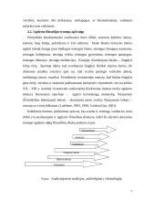Edukologijos pradmenys 4 puslapis