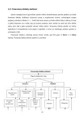 Finansiniai ištekliai ir jų šaltiniai 13 puslapis