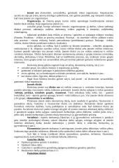 Įmonė kaip verslo sistema 2 puslapis