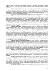 Įmonė kaip verslo sistema 11 puslapis