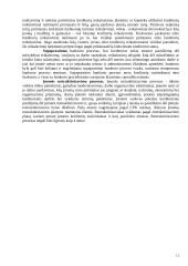 Įmonė kaip verslo sistema 12 puslapis