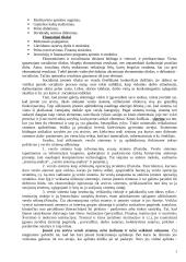 Įmonė kaip verslo sistema 3 puslapis