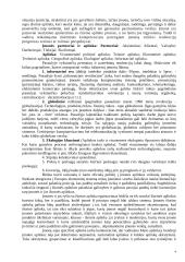 Įmonė kaip verslo sistema 4 puslapis