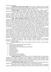 Įmonė kaip verslo sistema 5 puslapis