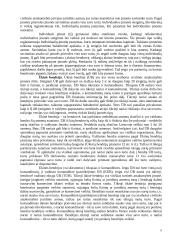 Įmonė kaip verslo sistema 6 puslapis