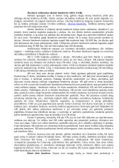 Įmonė kaip verslo sistema 7 puslapis