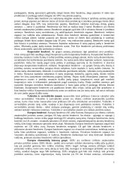 Įmonė kaip verslo sistema 8 puslapis