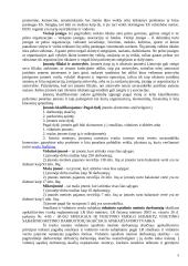 Įmonė kaip verslo sistema 9 puslapis