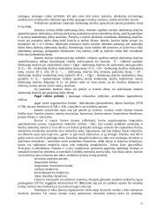 Įmonė kaip verslo sistema 10 puslapis