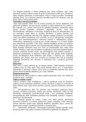 Kandidatų testavimas ir atranka 3 puslapis