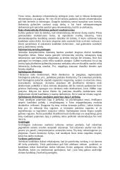 Kandidatų testavimas ir atranka 7 puslapis