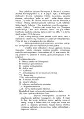 Kraujo krešėjimo sistema 4 puslapis