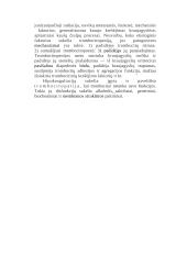 Kraujo krešėjimo sistema 7 puslapis