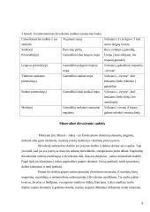 Mechaninė ir mineralinė dirvožemių bei gruntų sudėtis 4 puslapis