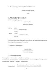 Pagrindiniai įmonės finansinės veiklos rodikliai 2 puslapis